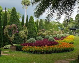 Использование деревьев в ландшафтном дизайне