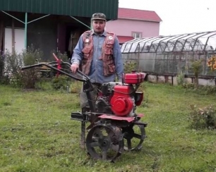 Вырастить тыкву легко!