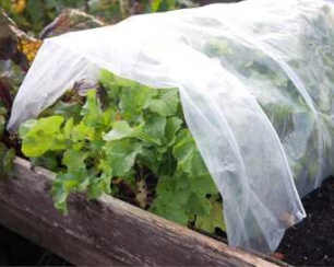 Пленка полиэтиленовая для теплиц