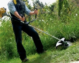 Рекомендации по выбору мотокосы