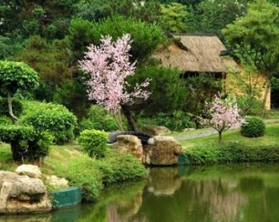 Роль почвы при содержании декоративных растений