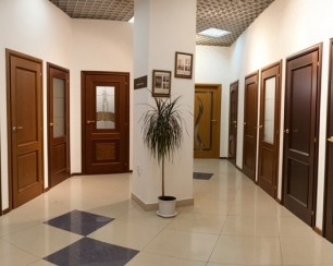 Шпонированные двери