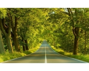 Применение современных технологий в строительстве дорог