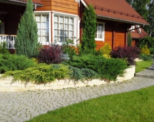 Создание плана организации ландшафтных работ